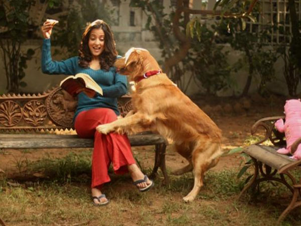ನೀವು ಸಹಾ ಶ್ವಾನಪ್ರಿಯರೇ?