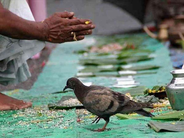 ಪಿತೃ ಪಕ್ಷದ ಆಹಾರ ತಯಾರಿ