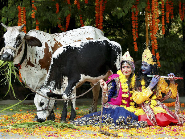 1. ದೀಪಾವಳಿ ಹಬ್ಬದ ಮೊದಲ ದಿನ- ಗೋವತ್ಸ ದ್ವಾದಶಿ