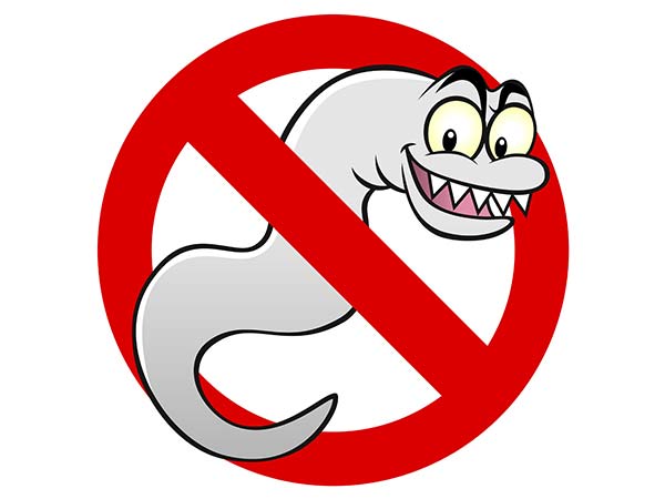 ಪರಾವಲಂಬಿ ಜೀವಿಗಳು