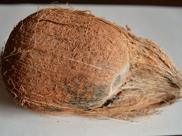 7. ಆರ್ಥಿಕ ಬಿಕ್ಕಟ್ಟು