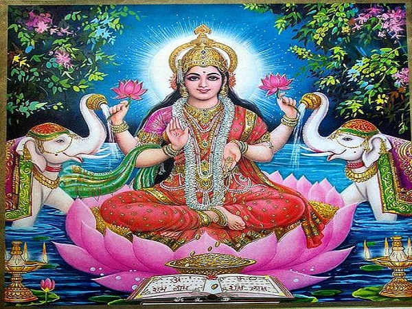 9. ಕಮಲ ಕಾಳಿ