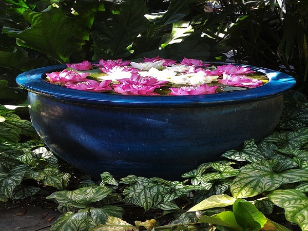 ಅಲಂಕಾರಿಕ ನೀರು ಮತ್ತು ಹೂವಿನ ಮಡಿಕೆ