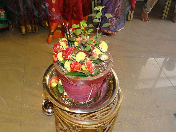 ತುಳಸಿ ಗಿಡ