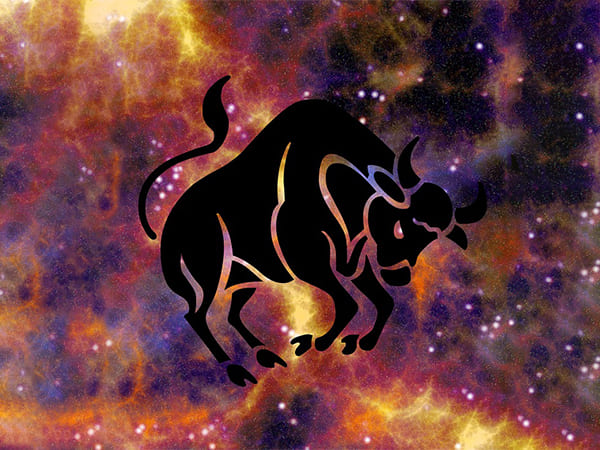 ವೃಷಭ ರಾಶಿ: 20 ಏಪ್ರಿಲ್ - 20 ಮೇ