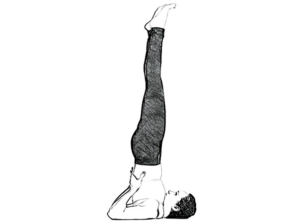 ಸರ್ವಾಂಗಾಸನ