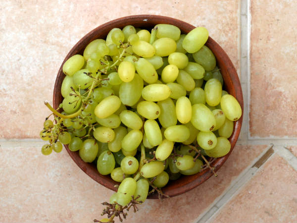 6. ದ್ರಾಕ್ಷಿಗಳು