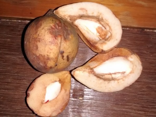 4. ಸಂಧಿವಾತ ನೋವು-ಉರಿಯೂತ ತಗ್ಗಿಸುವುದು