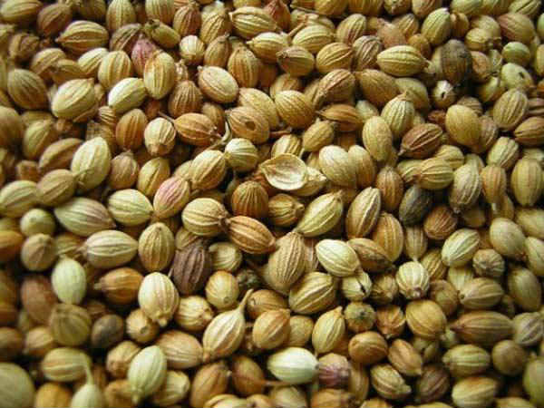 ಜೀರ್ಣಕ್ರಿಯೆ ಸುಧಾರಿಸುತ್ತದೆ