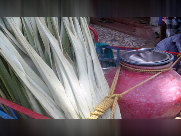 ನೀರಾದ ಪ್ರಯೋಜನಗಳು