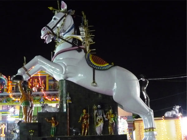 ಕುದುರೆಗಳು