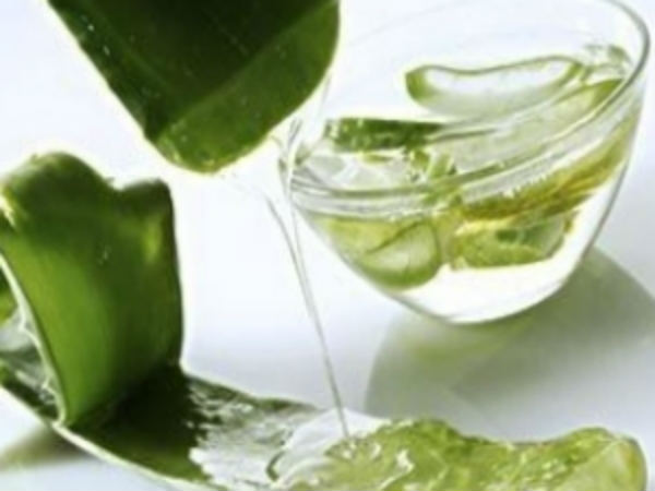 4. ಅಲೋವೆರಾ ಲೋಳೆಸರ