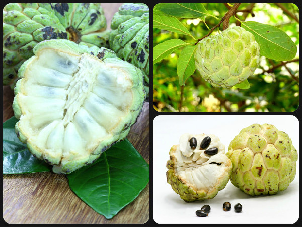 ಫೈಬರ್
