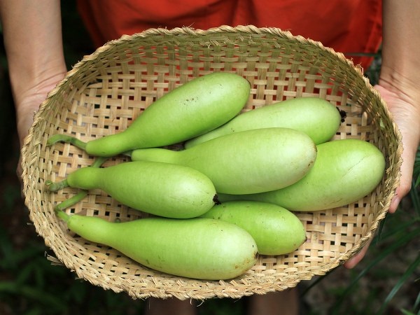 ರಕ್ತದೊತ್ತಡ ಬಾರದಂತೆ ತಡೆಯುವ ತರಕಾರಿಗಳು