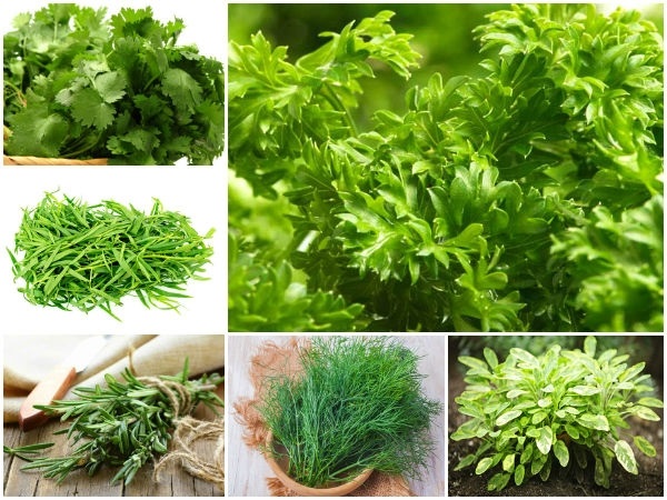 ಯಾವ ಸೊಪ್ಪು ಸೇವನೆ ಒಳ್ಳೆಯದು?