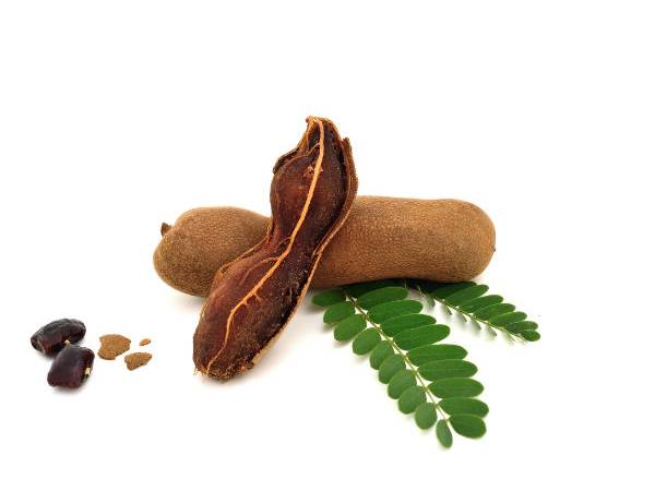 ರಕ್ತದೊತ್ತಡವನ್ನು ನಿಯಂತ್ರಣದಲ್ಲಿಡುತ್ತದೆ