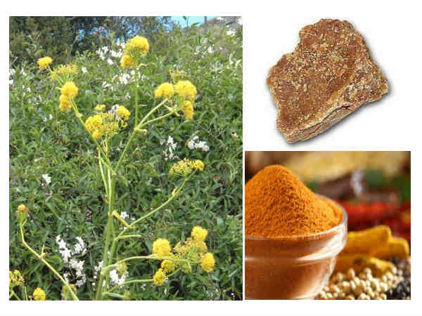 ಎರಡು ರೂಪದಲ್ಲಿ ಲಭ್ಯವಿರುವ ಇಂಗು