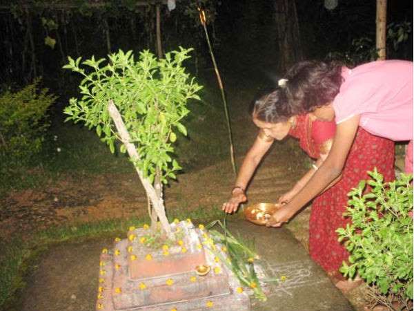 ತುಳಸಿ ವಿವಾಹ ಮಾಡುವುದರಿಂದ ದೊರೆಯುವ ಪ್ರಯೋಜನಗಳು