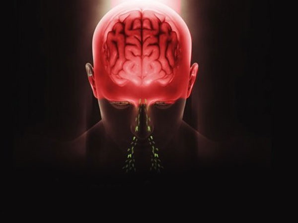 ಅಮೆರಿಕದಲ್ಲಿ ಮೆದುಳು ತಿನ್ನುವ ಅಮೀಬಾದ ಆತಂಕ: ಈ ಕಾಯಿಲೆ ಹೇಗೆ ಬರುತ್ತದೆ? |  Brain-eating Amoeba Now Spreading Faster in US, All You Need to Know About  Deadly Disease in kannada - Kannada BoldSky