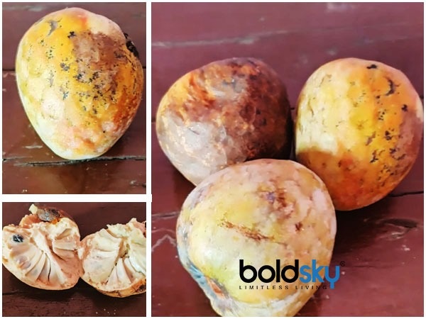 ಮಧುಮೇಹ ಹಾಗೂ ಕ್ಯಾನ್ಸರ್ ವಿರುದ್ಧ ಹೋರಾಡುತ್ತದೆ