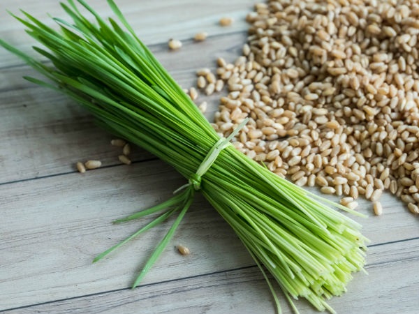 ಗೋಧಿ ಹುಲ್ಲಿನ ಜ್ಯೂಸ್ ಹೇಗೆ ತೆಗೆದು ಕೊಳ್ಳಬೇಕು?
