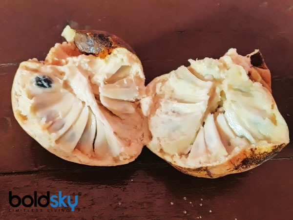 ರೋಗ ನಿರೋಧಕ ಶಕ್ತಿ ಹೆಚ್ಚಿಸುತ್ತದೆ
