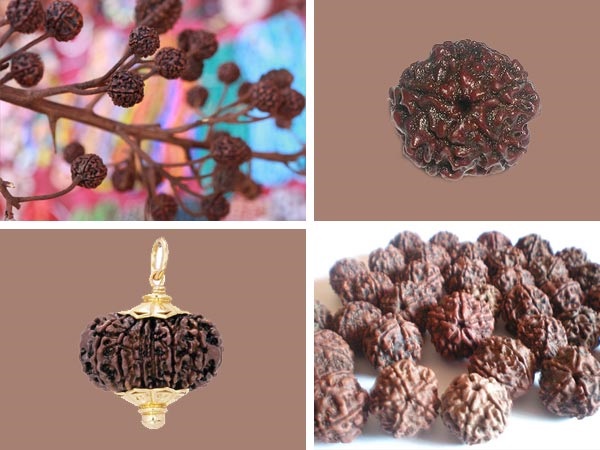 ರುದ್ರಾಕ್ಷಿ ಮಾಲೆ ಎಷ್ಟು ಸಮಯ ಬಳಸಬಹುದು?