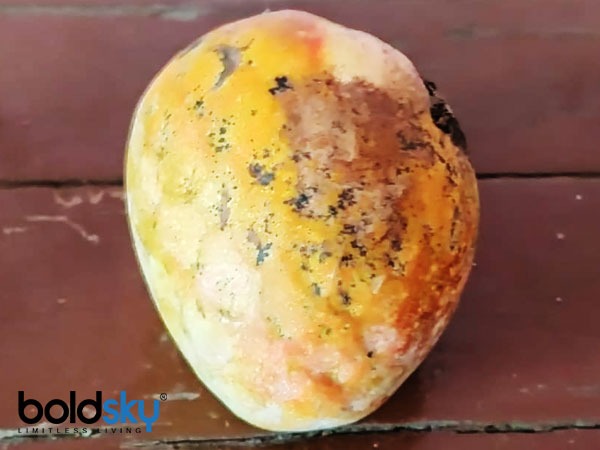 ವಿಟಮಿನ್ಗಳ ಆಗರ