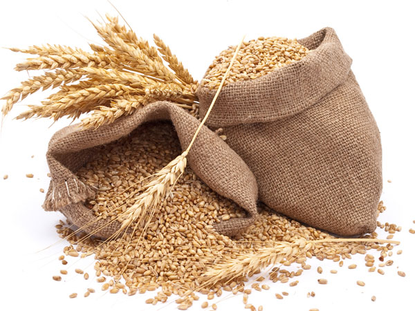 ಸೀಫುಡ್: