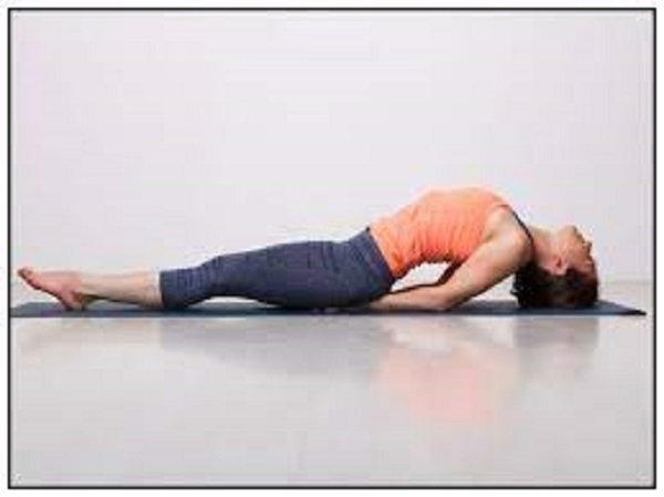 ಮತ್ಸ್ಯಾಸನ (fish pose)