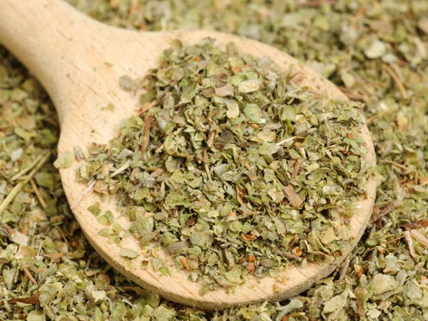 ಒರೆಗ್ನೋ (Oregano)