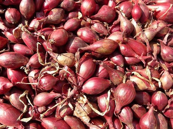 ಅತ್ಯುತ್ತಮ ಹೇರ್ ಟೋನರ್: