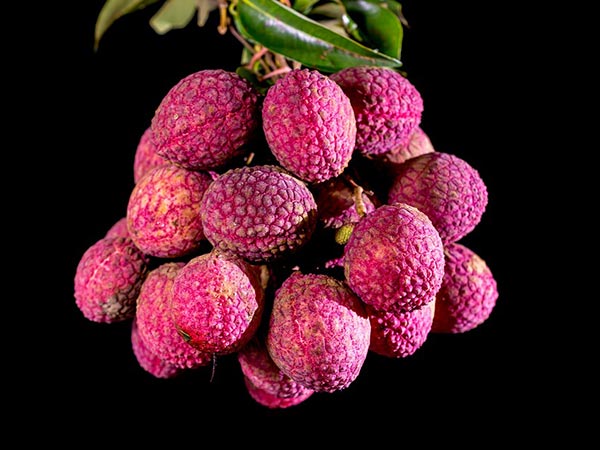 3. ಸನ್ ಬರ್ನ್ ತಡೆಯಲು:
