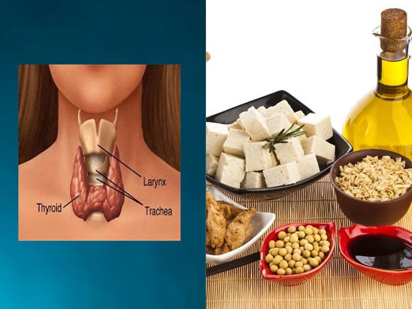 ಥೈರಾಯ್ಡ್‌ ಸಮಸ್ಯೆ ಇರುವವರಿಗೆ ಯಾವ ಆಹಾರಗಳು ಒಳ್ಳೆಯದು? ಯಾವುದು ಒಳ್ಳೆಯದಲ್ಲ