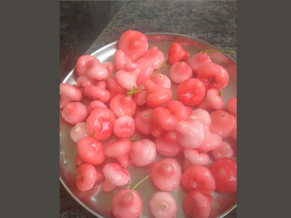 ಜೀರ್ಣಕ್ರಿಯೆಗೆ ಸಹಕಾರಿ, ಮಲಬದ್ಧತೆ ಸಮಸ್ಯೆ ಕಾಡಲ್ಲ