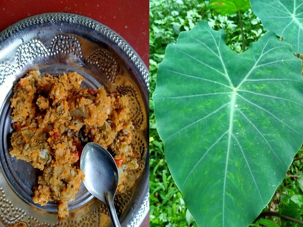 ರೋಗನಿರೋಧಕ ಶಕ್ತಿ ವೃದ್ಧಿಸುತ್ತದೆ