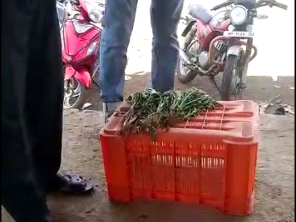 ವೀಡಿಯೋದಲ್ಲಿ ಏನಿದೆ?