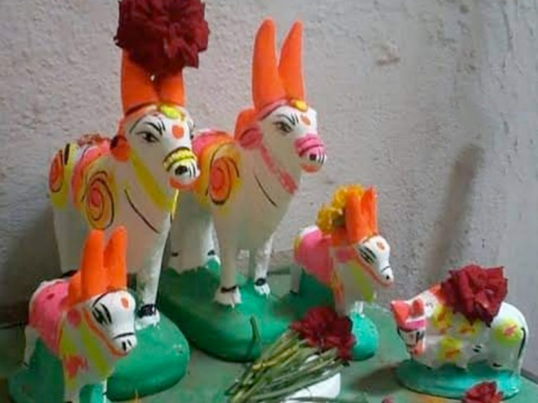 ರೈತರ ಕಷ್ಟ-ಸುಖಗಳಲ್ಲಿ ಭಾಗಿಯಾಗುವ ಎತ್ತು