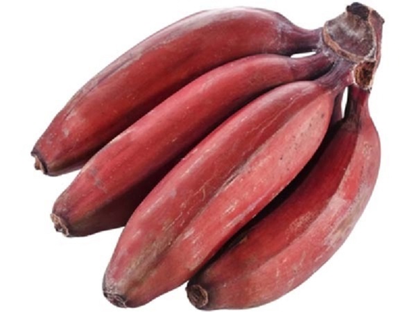 ಮೂತ್ರಪಿಂಡಗಳಿಗೆ ಪ್ರಯೋಜನಕಾರಿ :