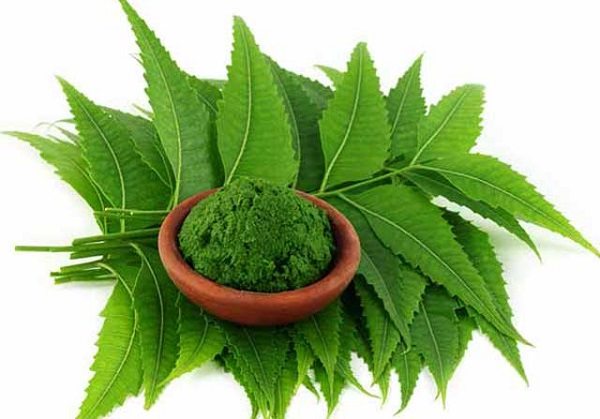 4) ಅರಿಶಿನ ಮತ್ತು ಬೇವು: