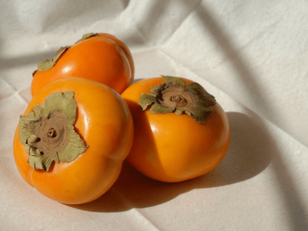 ಪರ್ಸಿಮನ್: