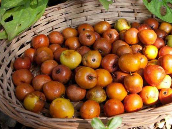 1. ರೋಗ ನಿರೋಧಕ ಶಕ್ತಿ ಹೆಚ್ಚುವುದು