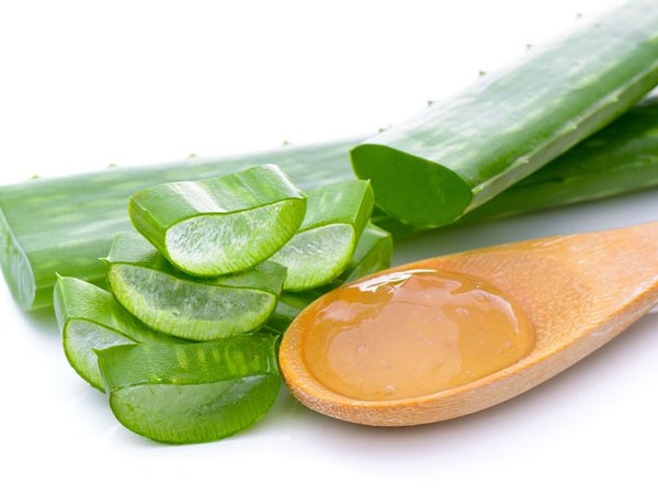 5. ಅಲೋವೆರಾ
