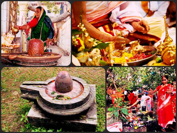 4. ಈ ಹೂವು ಪೂಜೆಗೆ ನಿಷಿಧ್ಧ: