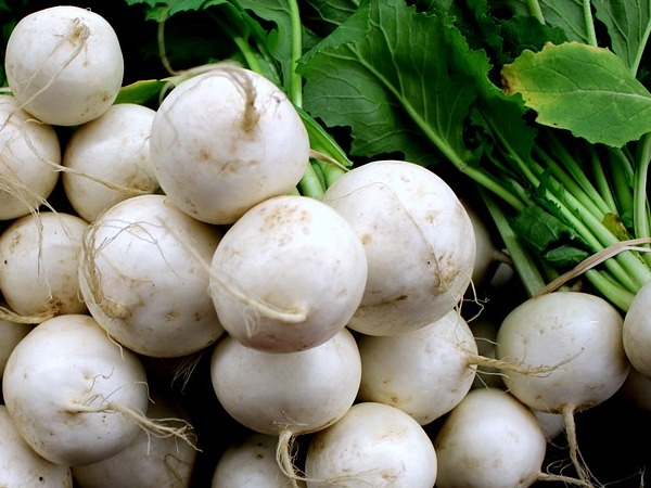 ಗಡ್ಡೆಕೋಸು: