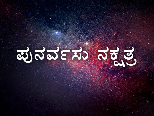7. ಪುನರ್ವಸು ನಕ್ಷತ್ರ