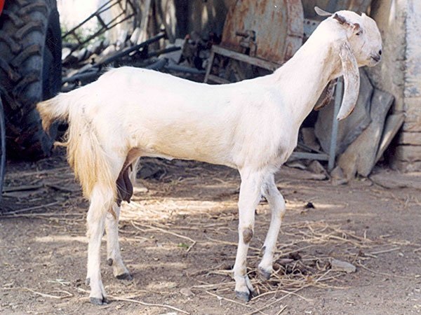 ಮಕ್ಕಳಲ್ಲಿ ನೀರಿನಂಶ ಕಡಿಮೆಯಾಗದಂತೆ ನೋಡಿಕೊಳ್ಳಿ