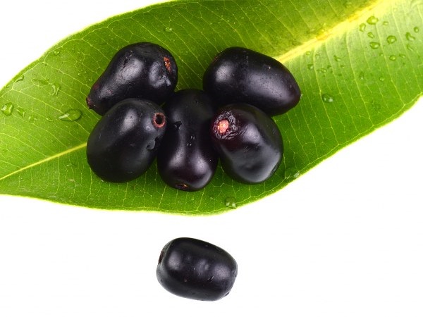 ನೇರಳೆ ಯಾವ ಸಮಯದಲ್ಲಿ ಸೇವಿಸುವುದು ಒಳ್ಳೆಯದು?