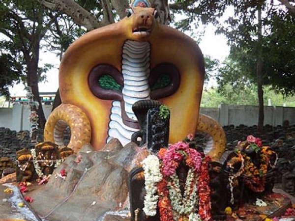 ನಾಗ ಪಂಚಮಿ ಇತಿಹಾಸ ಮತ್ತು ಮಹತ್ವ