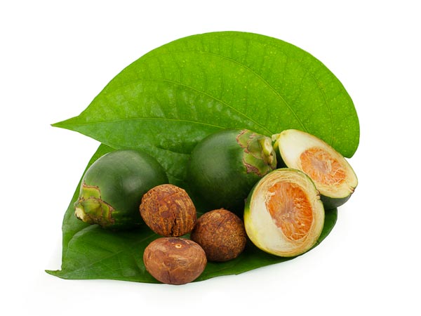 11. ಅಡಿಕೆ